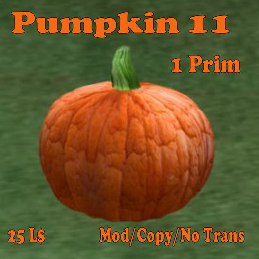 Pumpkin 11(MN)(Box)