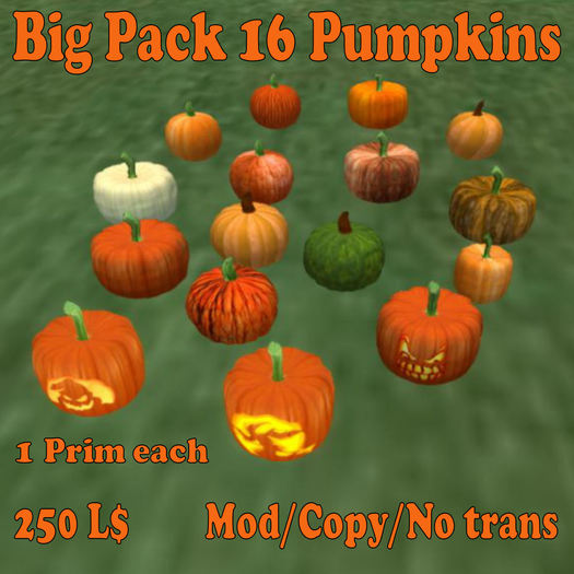 Big Pack 16 Pumpkins (MN)(Box)