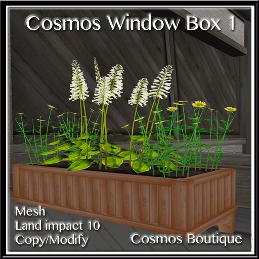 Cosmos Window Box 1 (BOX)