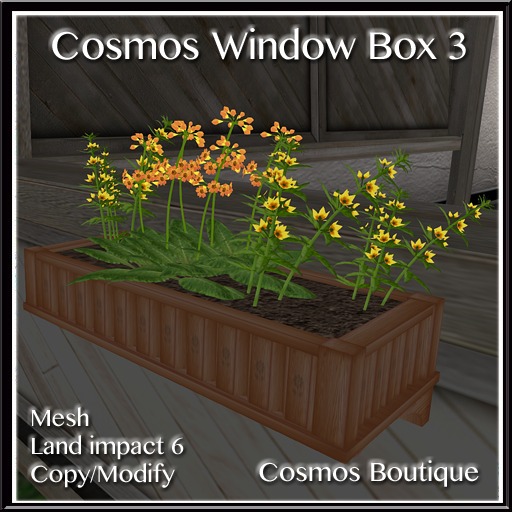 Cosmos Window Box 3 (BOX)