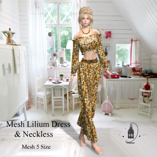 28-2 Mesh Lilium Dress & Neckless Box