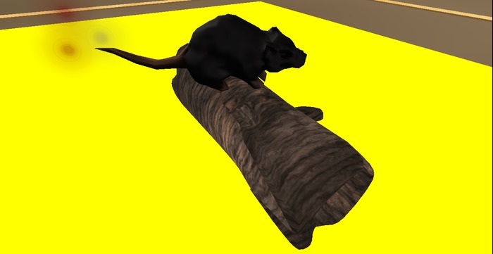 Animated Rat In Little Hollow Log