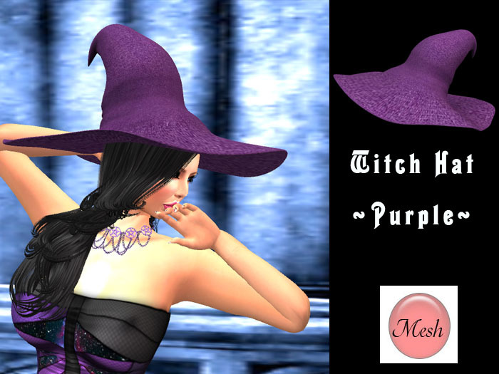 witch hat_Mesh_purple