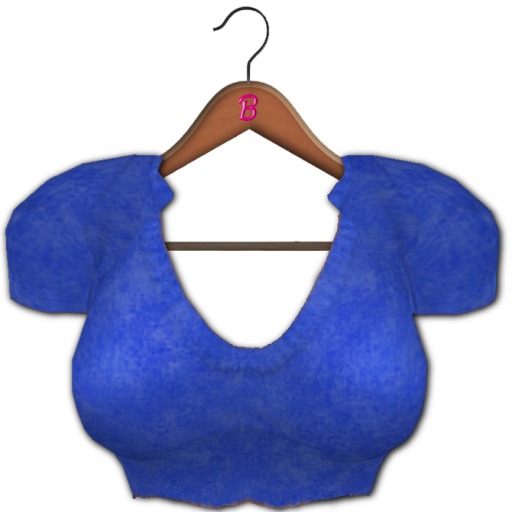 <*>B<*> Chinara Crop Top Blue