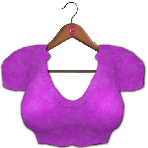 <*>B<*> Chinara Crop Top Purple