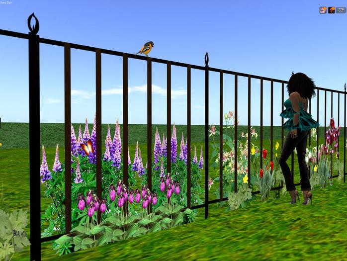 FENCE WITH BEAUTIFULL FLOWERS,,,, 10 PRIMS,V