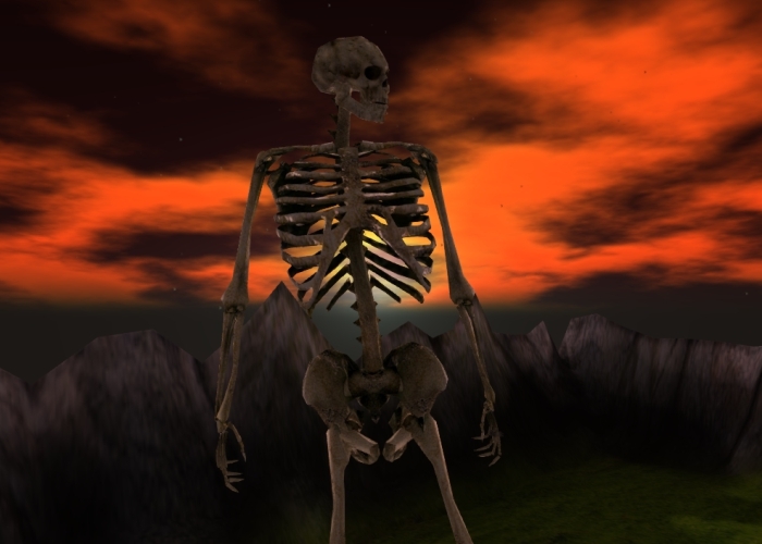 - L & D - Skeleton Avatar
