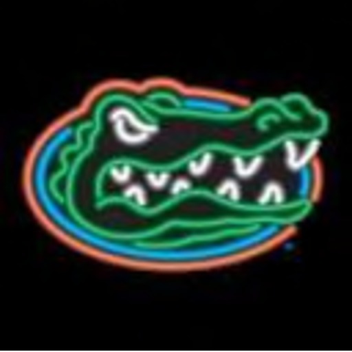 Turning Page - Gators Neon Sign