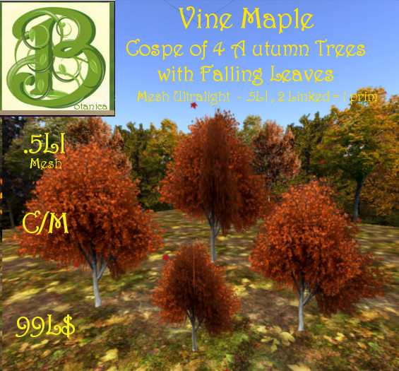 Cospe Silver Maple v.2 w Falling Leaves v2 Mesh - 0.5 LI