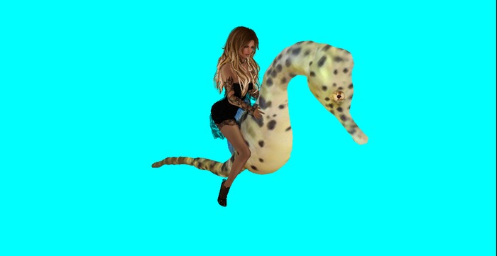 Seahorse To Ride (wear)
