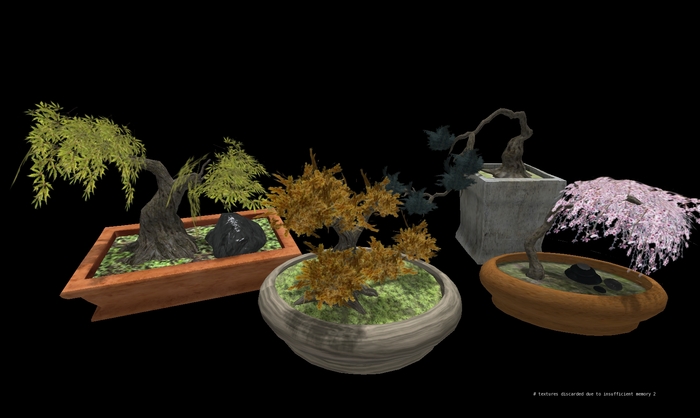 BONSAI JUNIPER