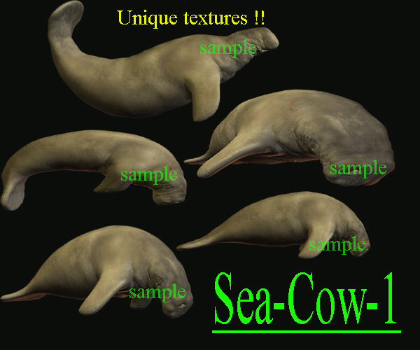 1 BOX Sea-Cow1