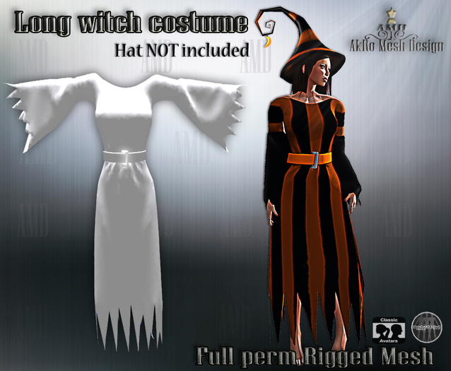 Long Witch Costume_AMD