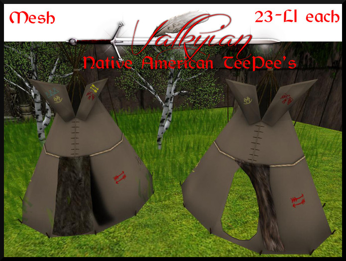 ~Valkyrian~ Native American TeePee's