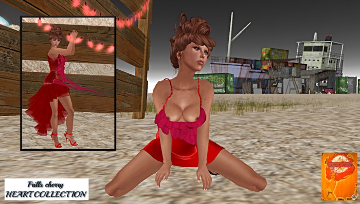 BOHEMIAN GYPSY  -  BOHO CUSTOMS   (marketplace)