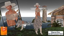 BOHEMIAN GYPSY  -  BOHO CUSTOMS   (marketplace)