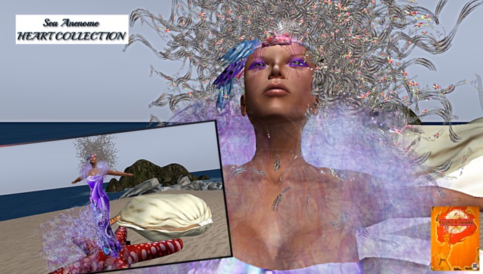 BOHEMIAN GYPSY  -  BOHO CUSTOMS   (marketplace)