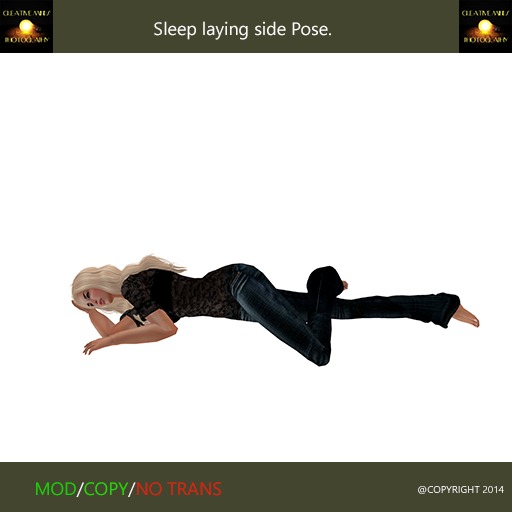 Sleep Laying Side - Pose
