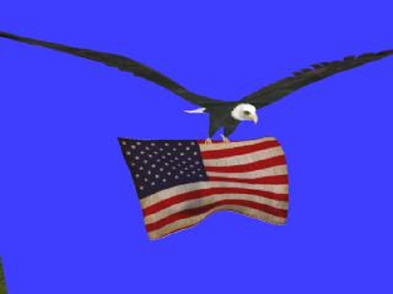 *PCD* Patriotic Tipjar