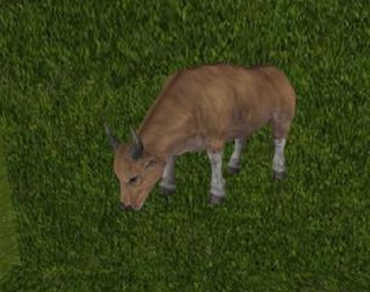 *PCD* grazing cow tipjar