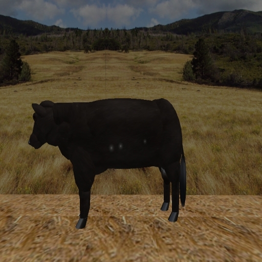 Black Angus Bull - Animated