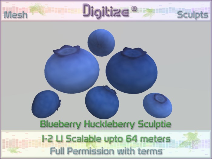 Digitize Blueberry Huckleberry Sculptie