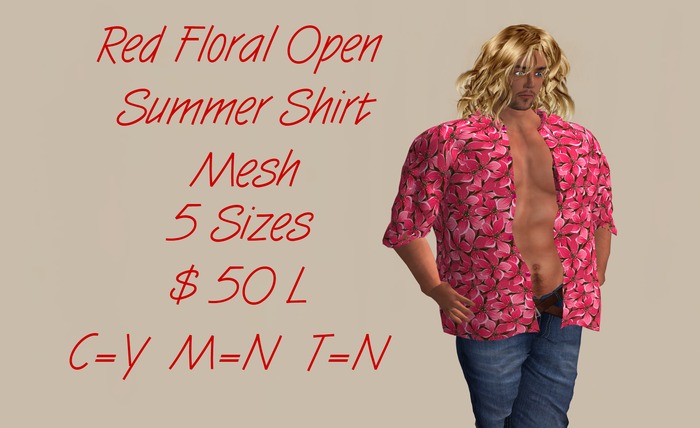 Red Floral Mesh Summer Shirt     B
