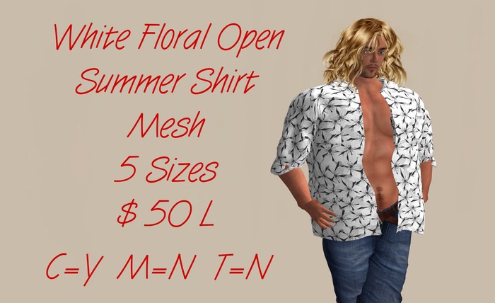 White Mesh Floral Summer Shirt  B