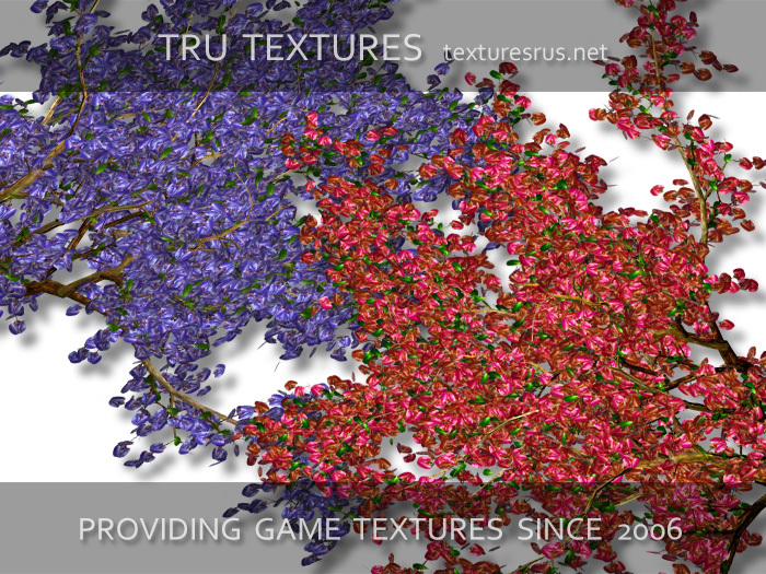 12876: 11 x Tree Top Branch Textures Volume 6 - 1024 x 1024 Pixels 