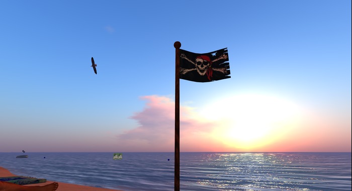 Pirate flag 1