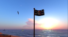 Pirate flag 
