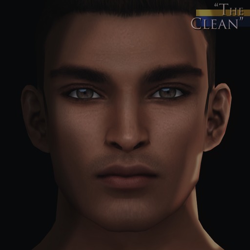 -Labyrinth- Gideon Skin (Dark) - The Clean