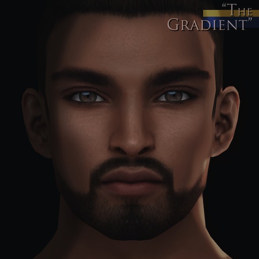 -Labyrinth- Gideon Skin (Dark) - The Gradient