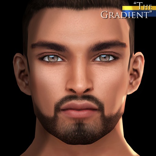 -Labyrinth- Gideon Skin (Light) - The Gradient