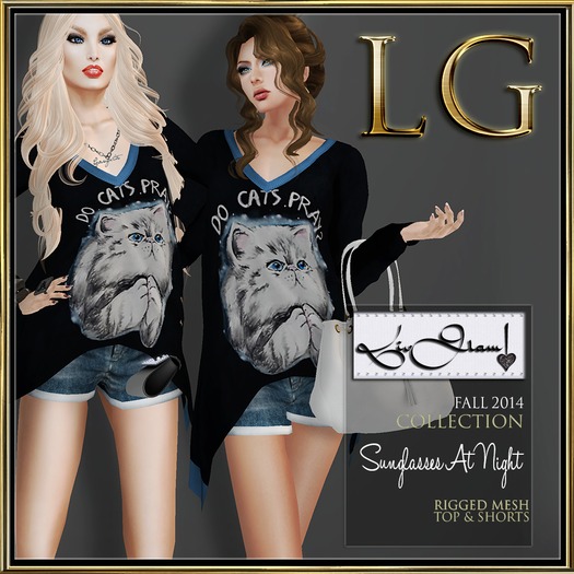 [LG] Boutique-Fall 2014 Sunglasses At Night Bagged 2