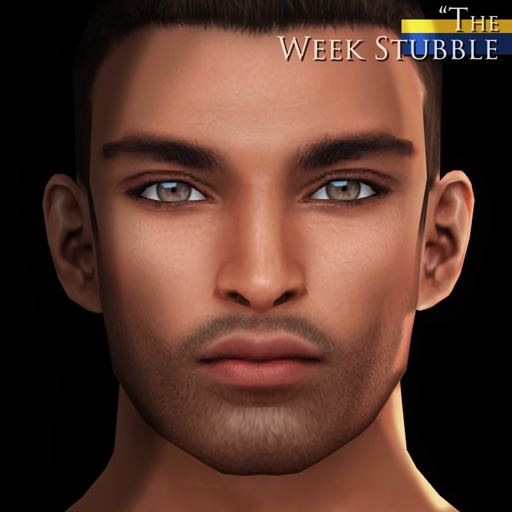 -Labyrinth- Gideon Skin (Medium) - The Week Stubble