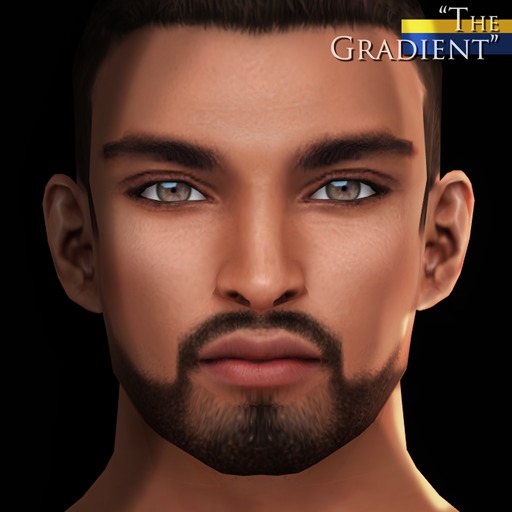 -Labyrinth- Gideon Skin (Medium) - The Gradient