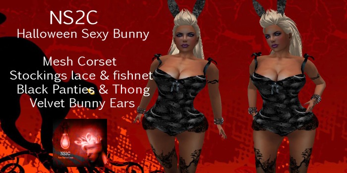 NS2C Spiderweb Corset