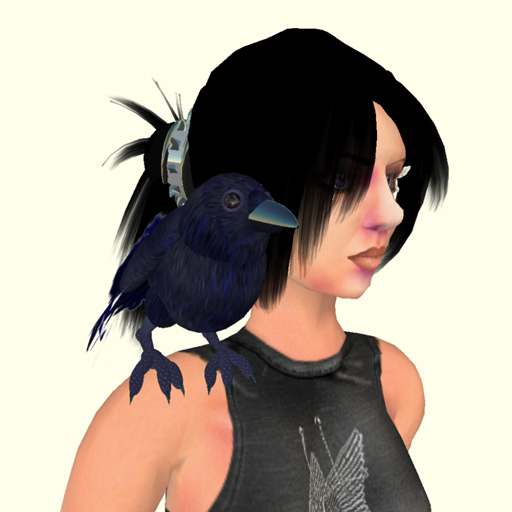 Classic Raven (rt shoulder)
