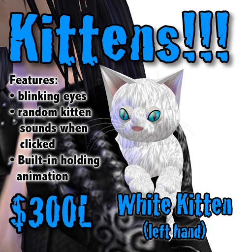 White Kitten