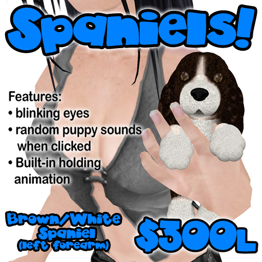 Brown/White Spaniel