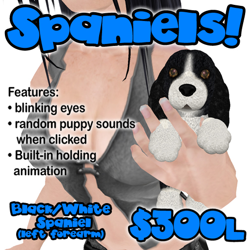 Black/White Spaniel