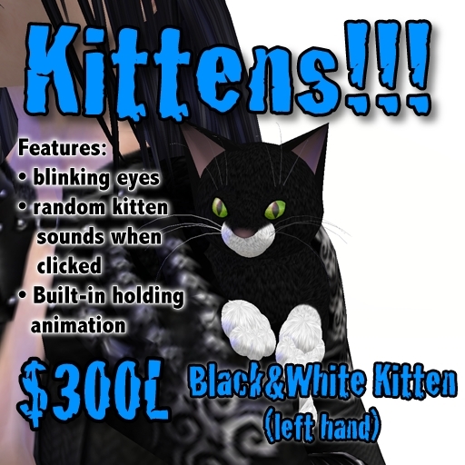 Black/White Kitten