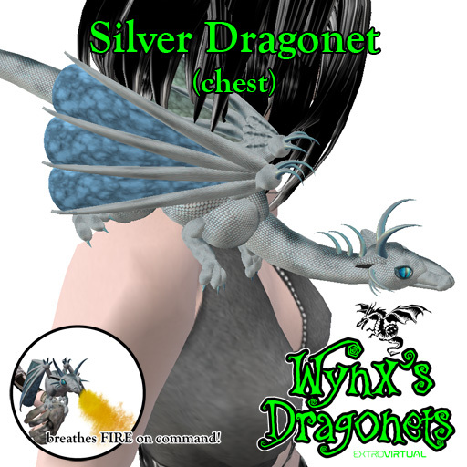 Silver Dragonet (chest)