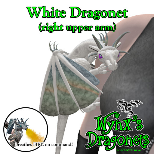White Dragonet (rt upper arm)