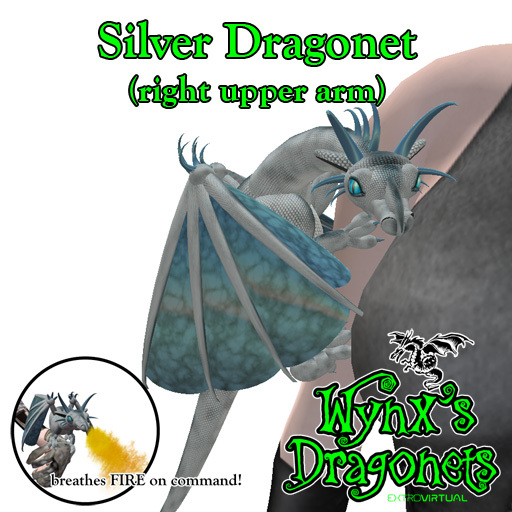 Silver Dragonet (rt upper arm)