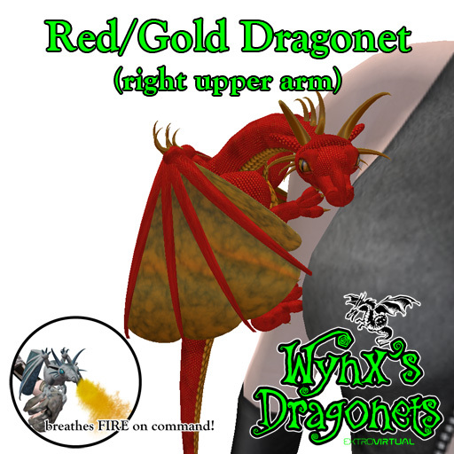 Red/Gold Dragonet (rt upper arm)