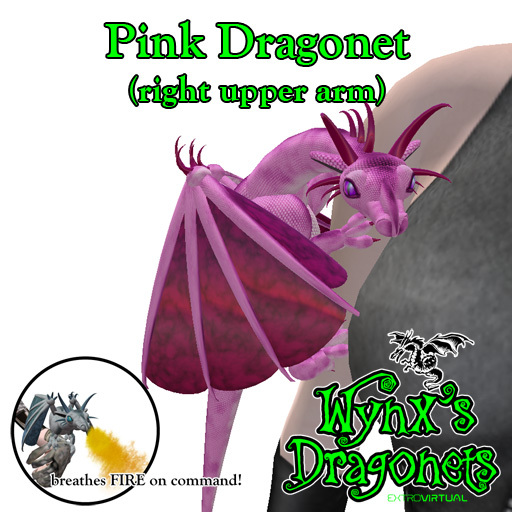 Pink Dragonet (rt upper arm)