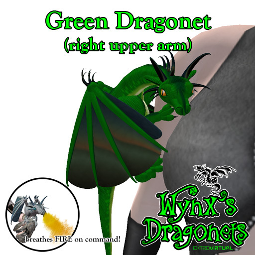 Green Dragonet (rt upper arm)