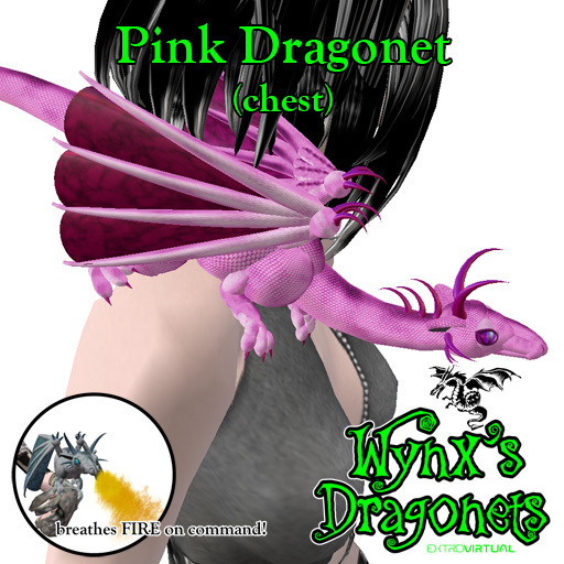 Pink Dragonet (chest)